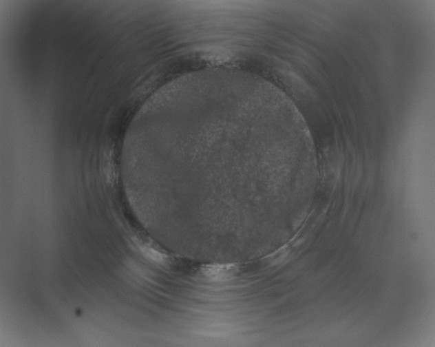 X0000074030136200609061151