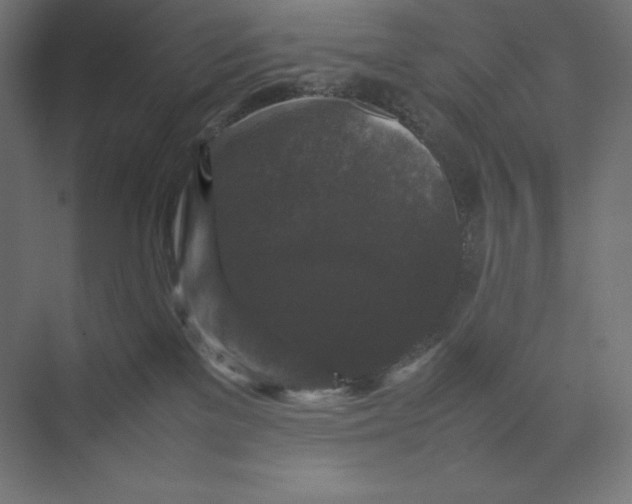 X0000074030137200609061151