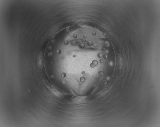 X0000074030138200609061151