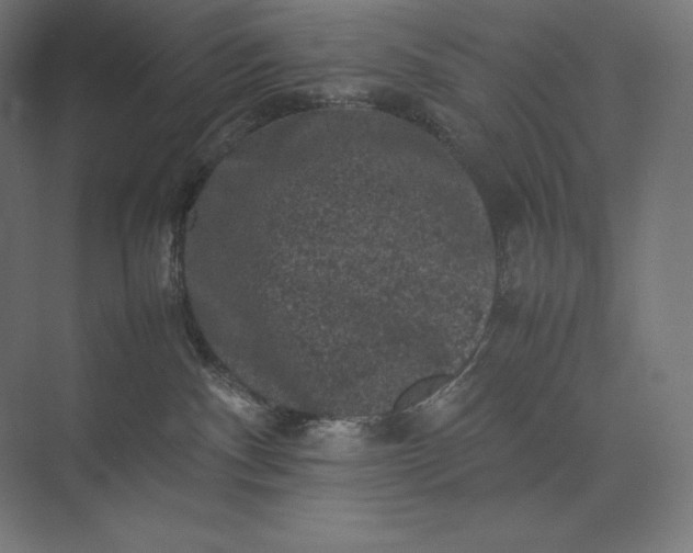 X0000074030140200609061151