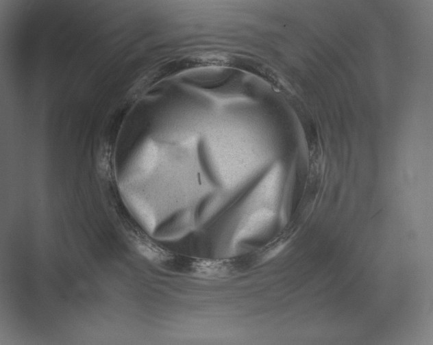 X0000074030141200609061151