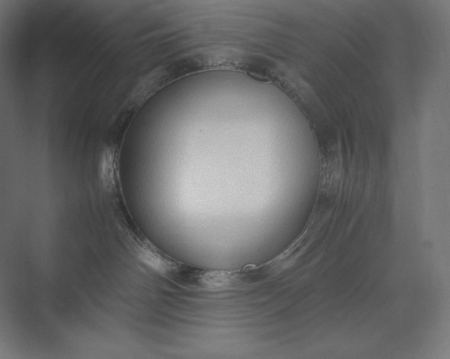 X0000074030142200609061151