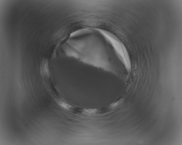 X0000074030143200609061151