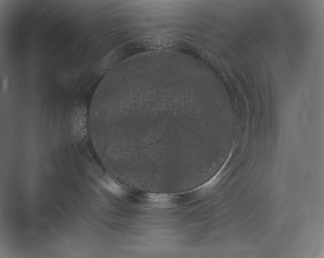 X0000074030144200609061151