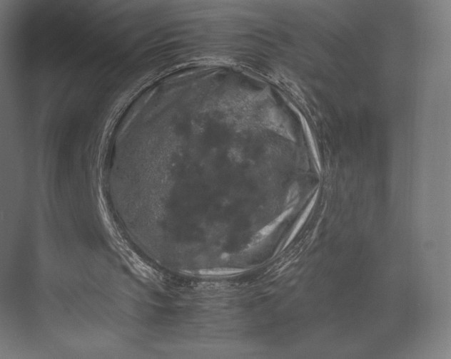 X0000074030145200609061150