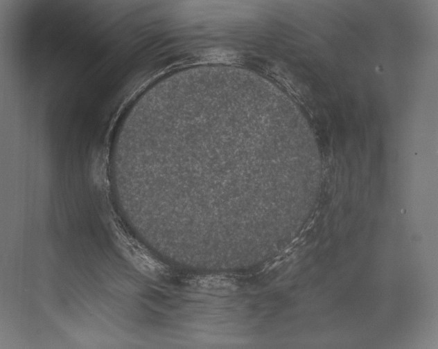 X0000074030146200609061150