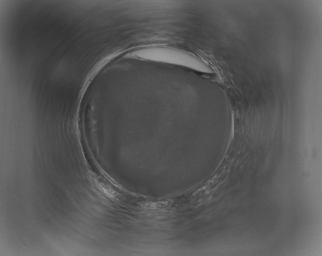 X0000074030147200609061150