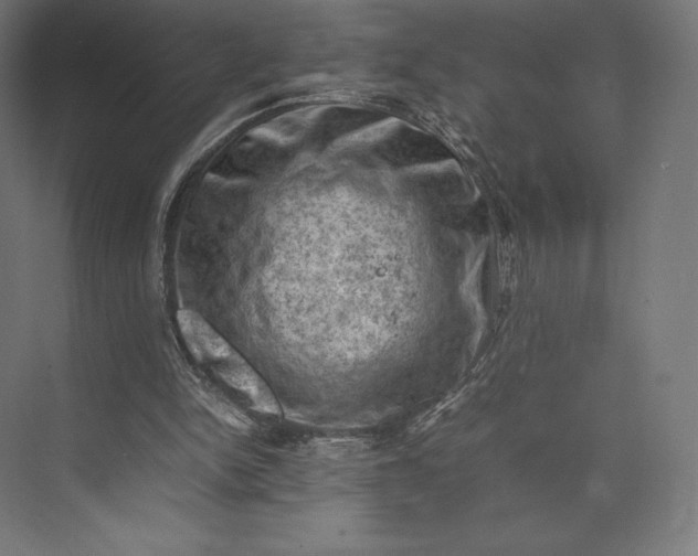 X0000074030150200609061150