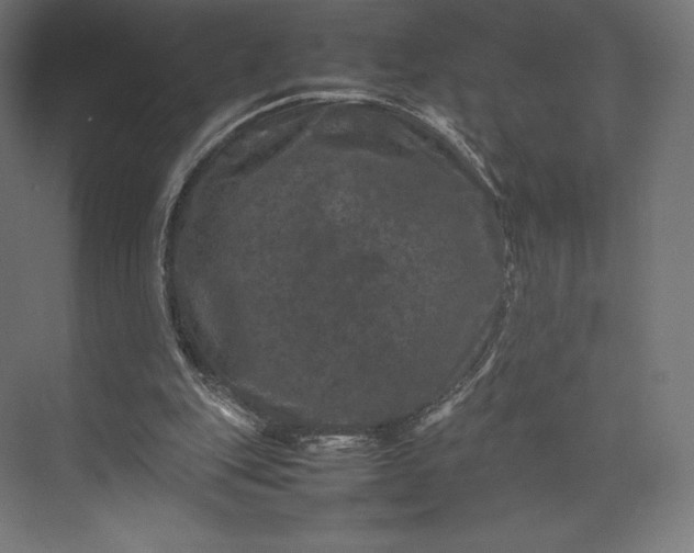 X0000074030151200609061150