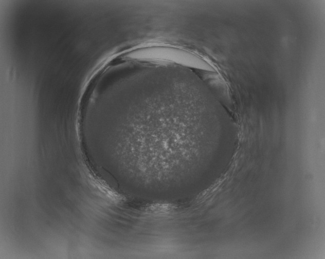 X0000074030152200609061150