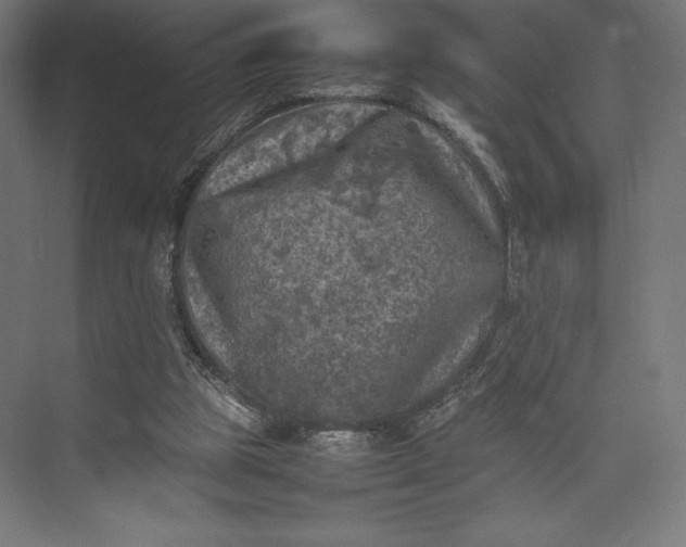 X0000074030153200609061150