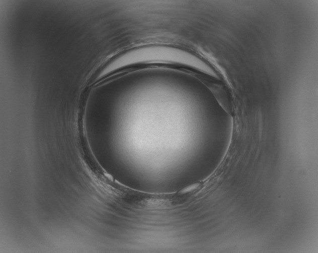 X0000074030154200609061150