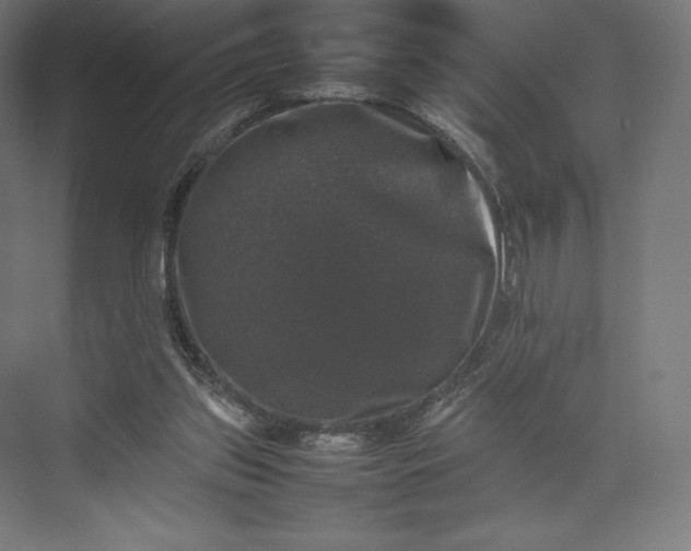 X0000074030157200609061151