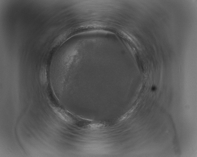 X0000074030158200609061151