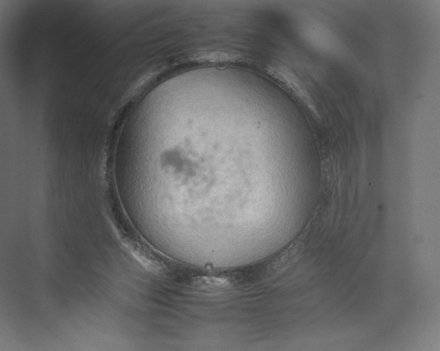 X0000074030159200609061151