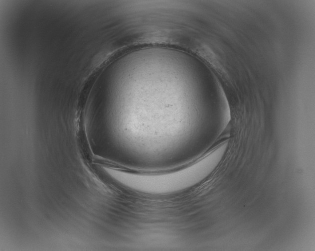 X0000074030160200609061151