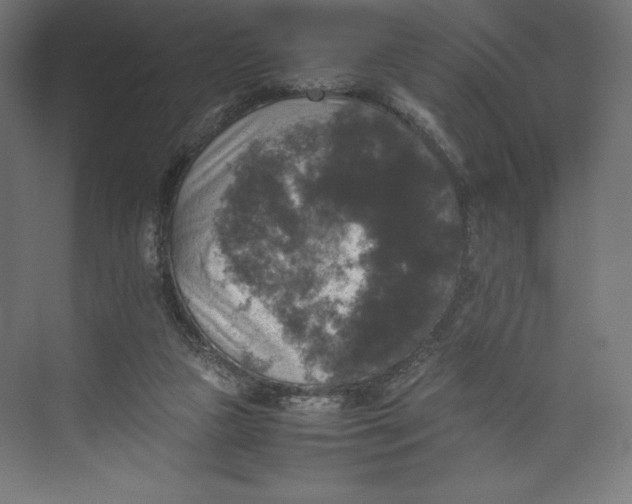 X0000074030161200609061151