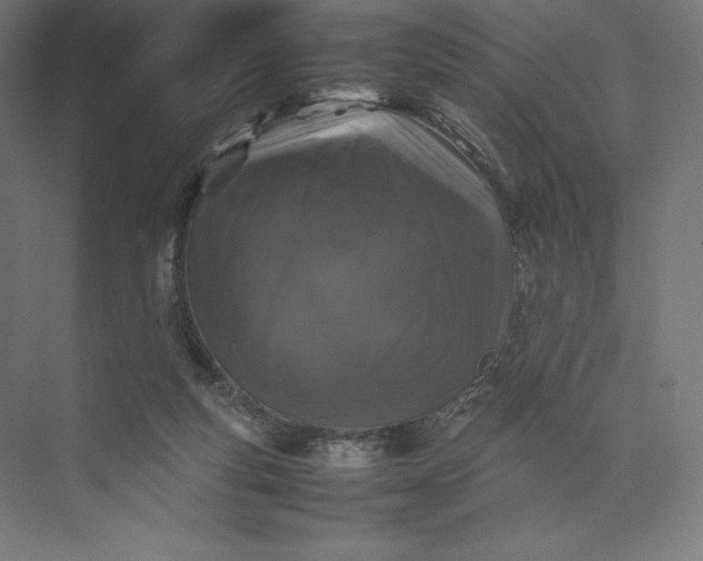 X0000074030163200609061151