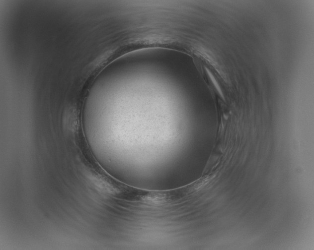 X0000074030164200609061151