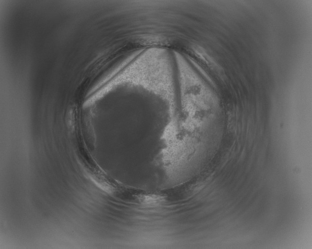 X0000074030165200609061151