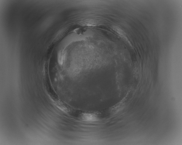 X0000074030167200609061151