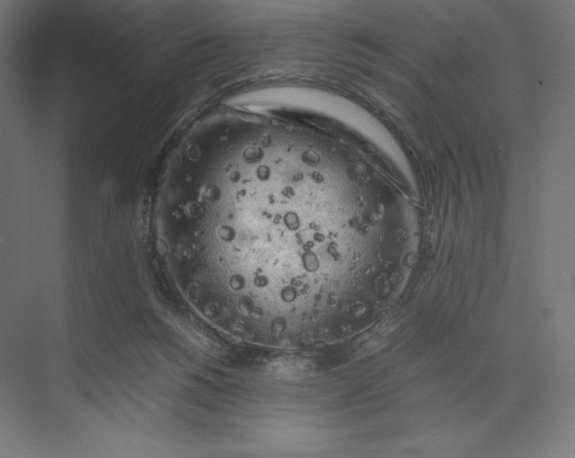 X0000074030168200609061151