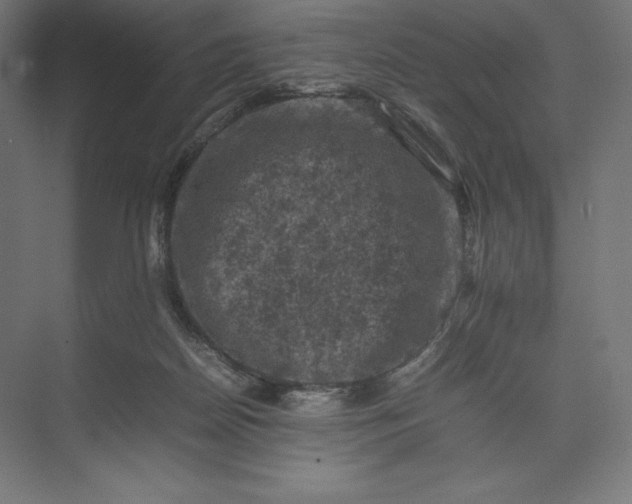 X0000074030170200609061151