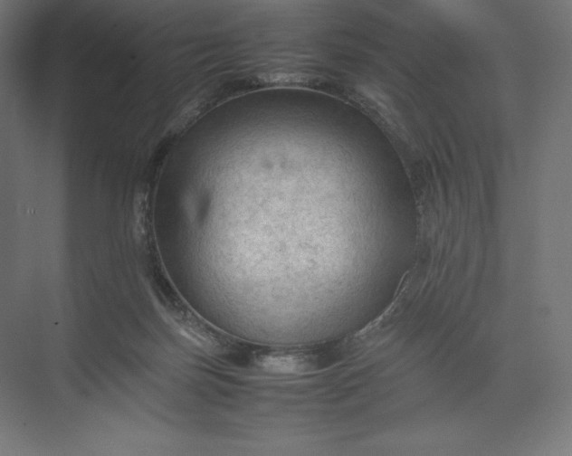 X0000074030171200609061151