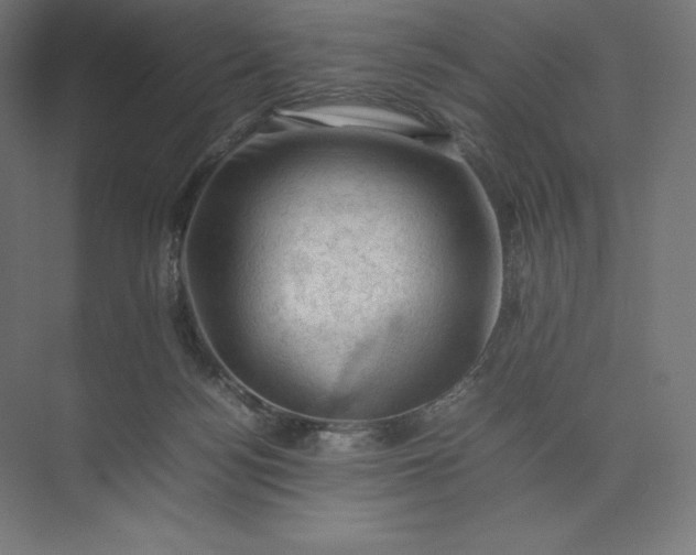 X0000074030172200609061151