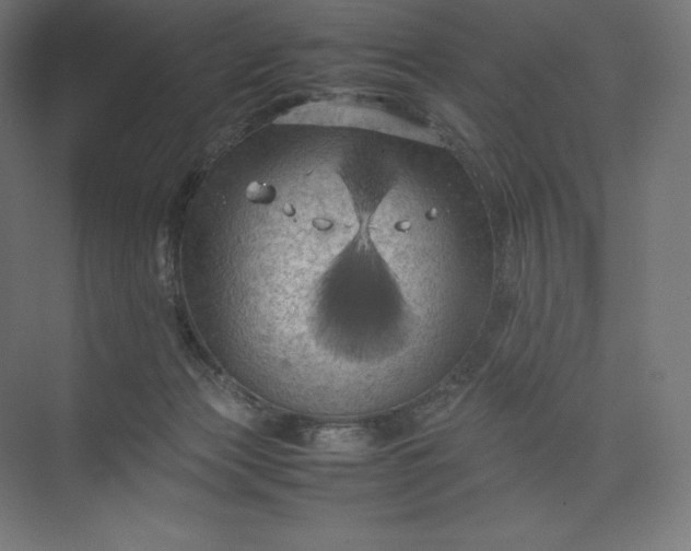 X0000074030173200609061151