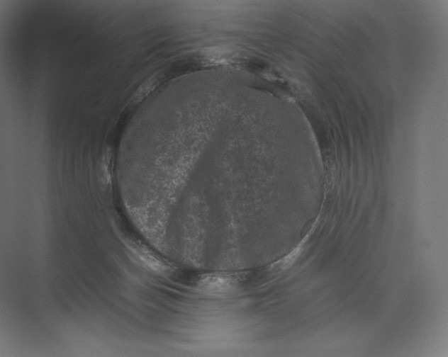 X0000074030174200609061151