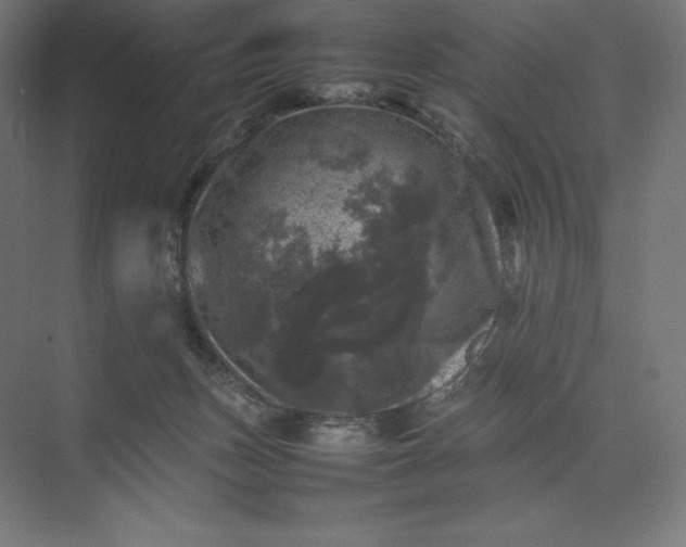 X0000074030175200609061151