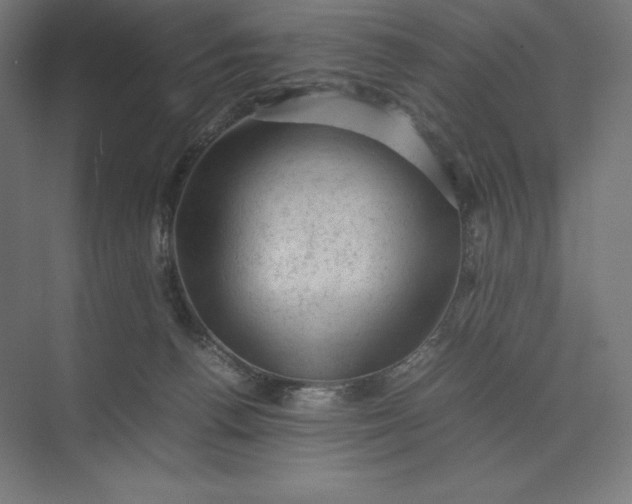 X0000074030176200609061151