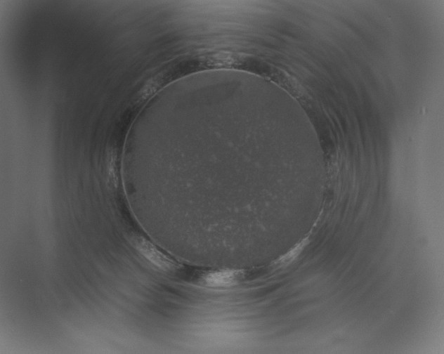 X0000074030178200609061151