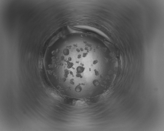 X0000074030180200609061151