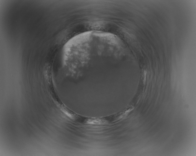 X0000074030181200609061151