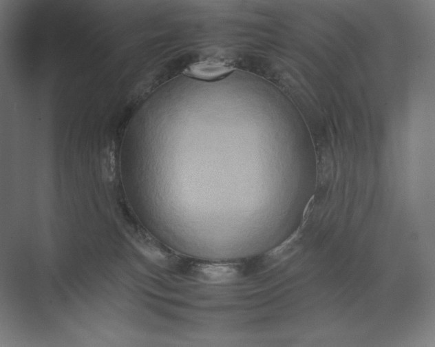 X0000074030183200609061151