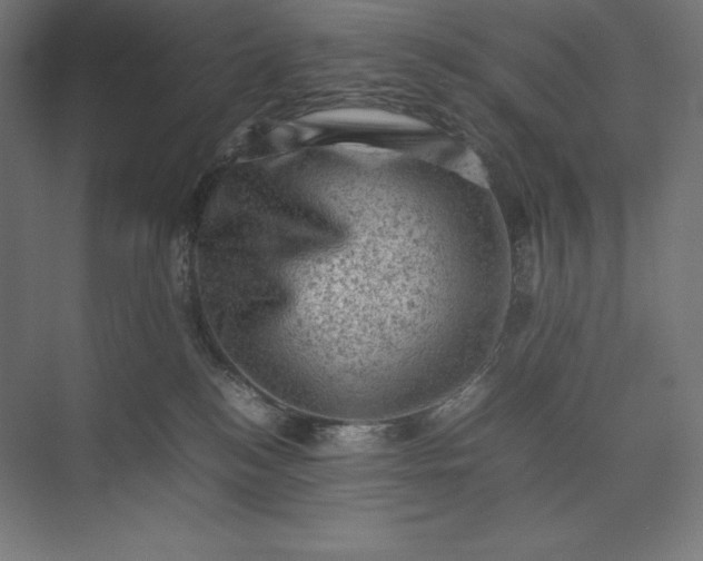 X0000074030184200609061151