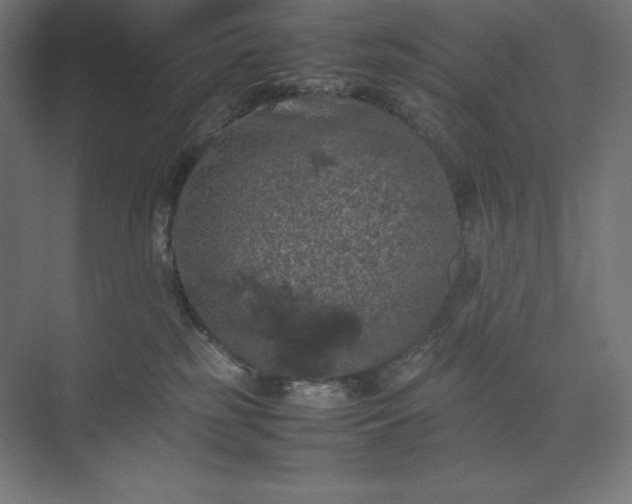 X0000074030185200609061151