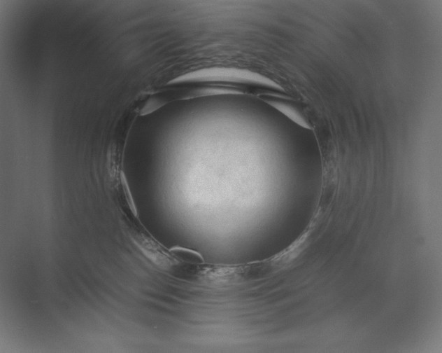 X0000074030186200609061151