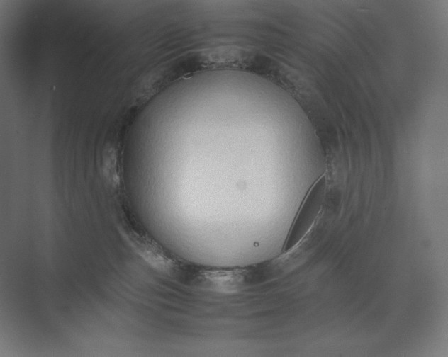 X0000074030187200609061151