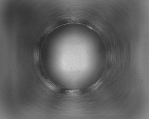 X0000074030188200609061151