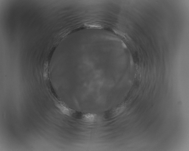 X0000074030189200609061151