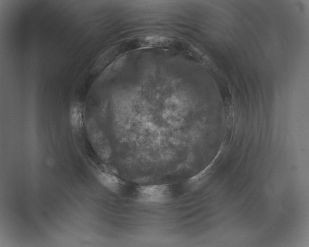 X0000074030191200609061151