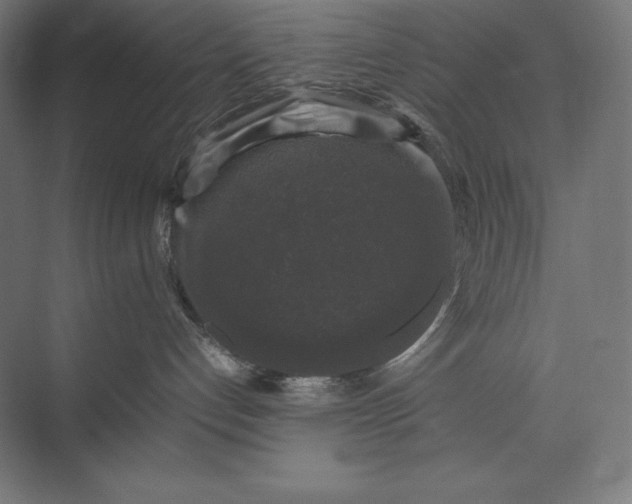 X0000074030192200609061151