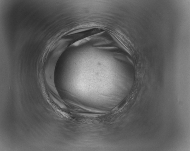 X0000074030193200609061150