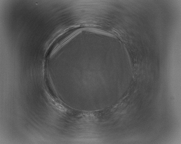 X0000074030194200609061150