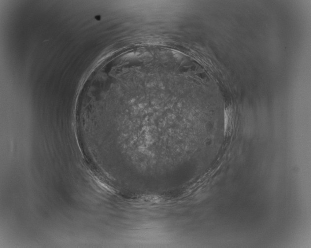 X0000074030195200609061150