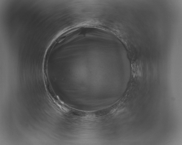 X0000074030196200609061150