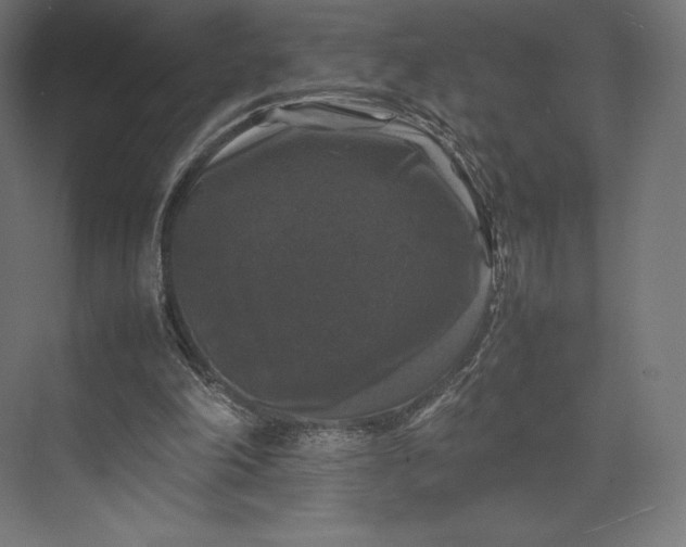 X0000074030198200609061150